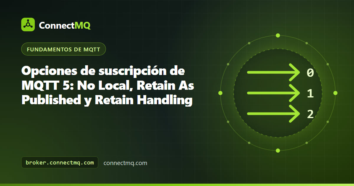 Diagrama de las opciones de suscripción MQTT con los flags No Local, Retain As Published y Retain Handling en un paquete SUBSCRIBE